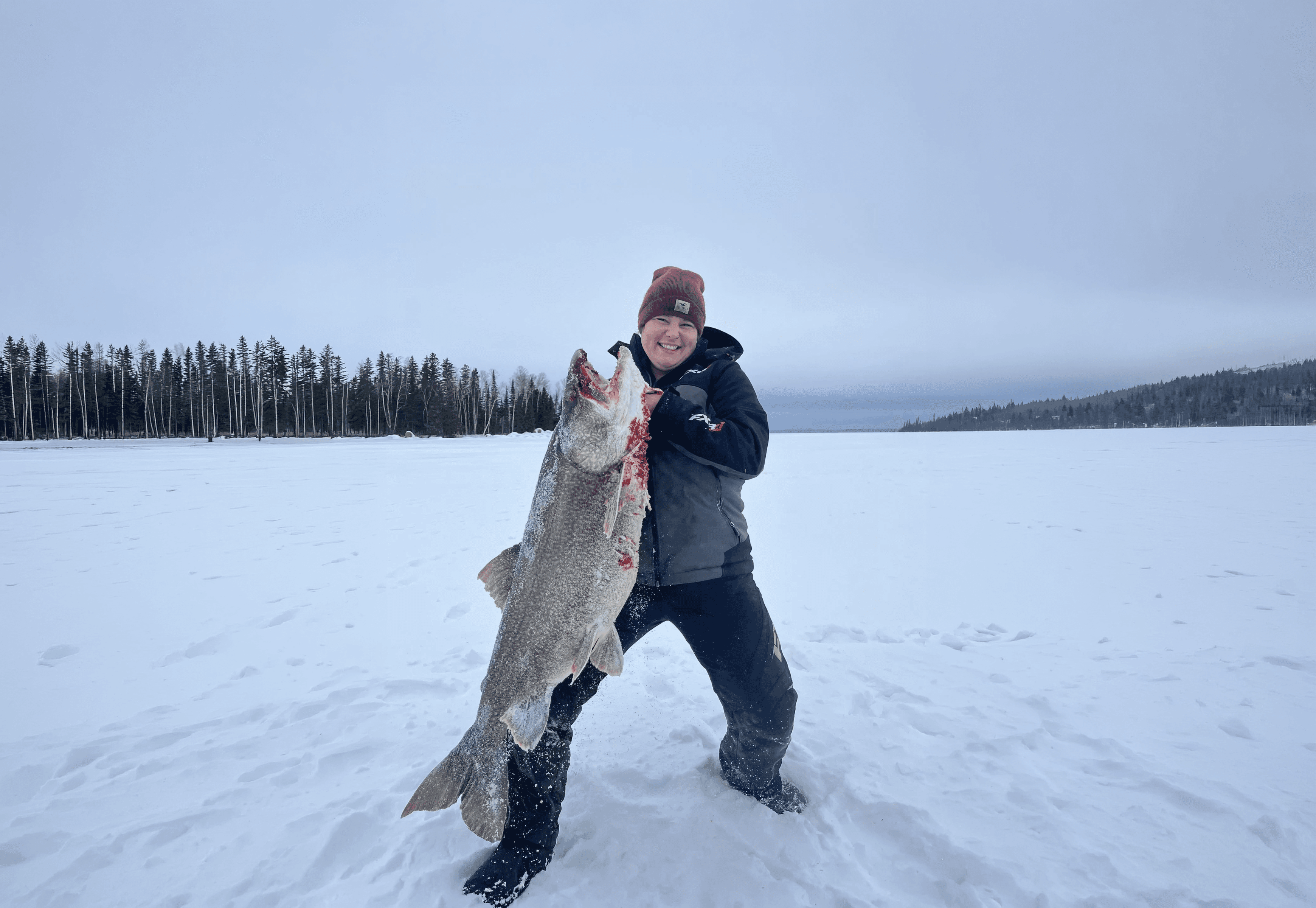 Lake Trout